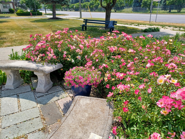 2023 Clean-Up Fix-Up Day